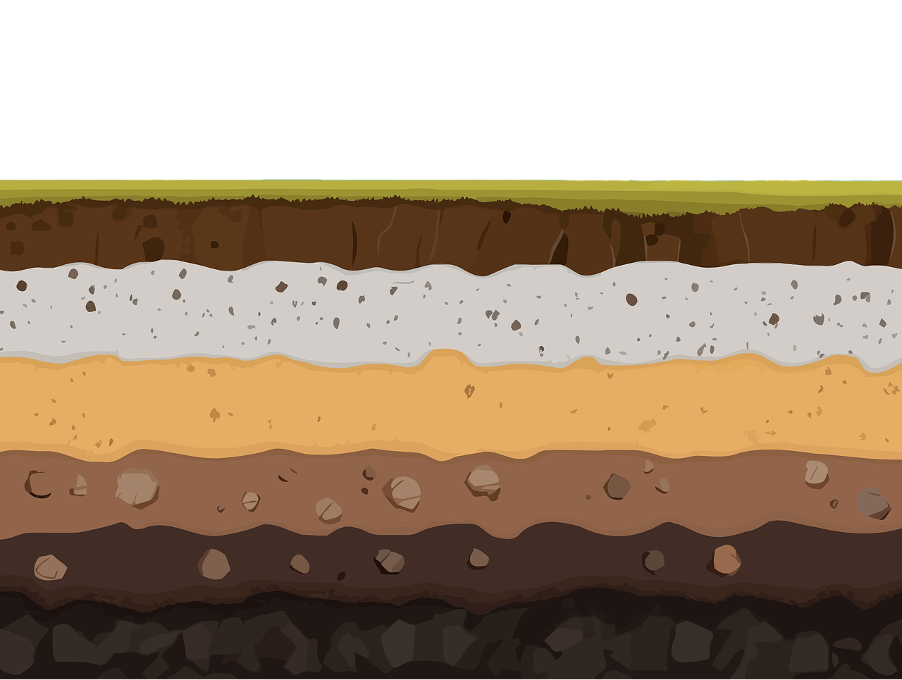 cand se pune ingrasamant la flori