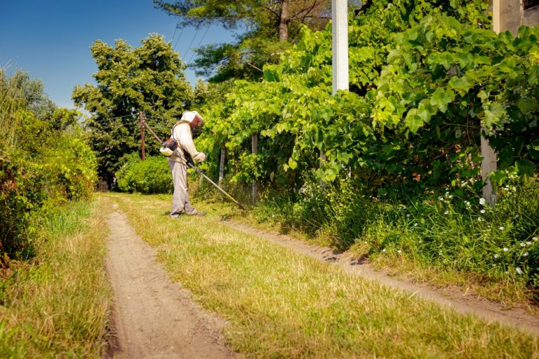 gardener,is,wearing,protective,overall,and,cutting,grass,in,his