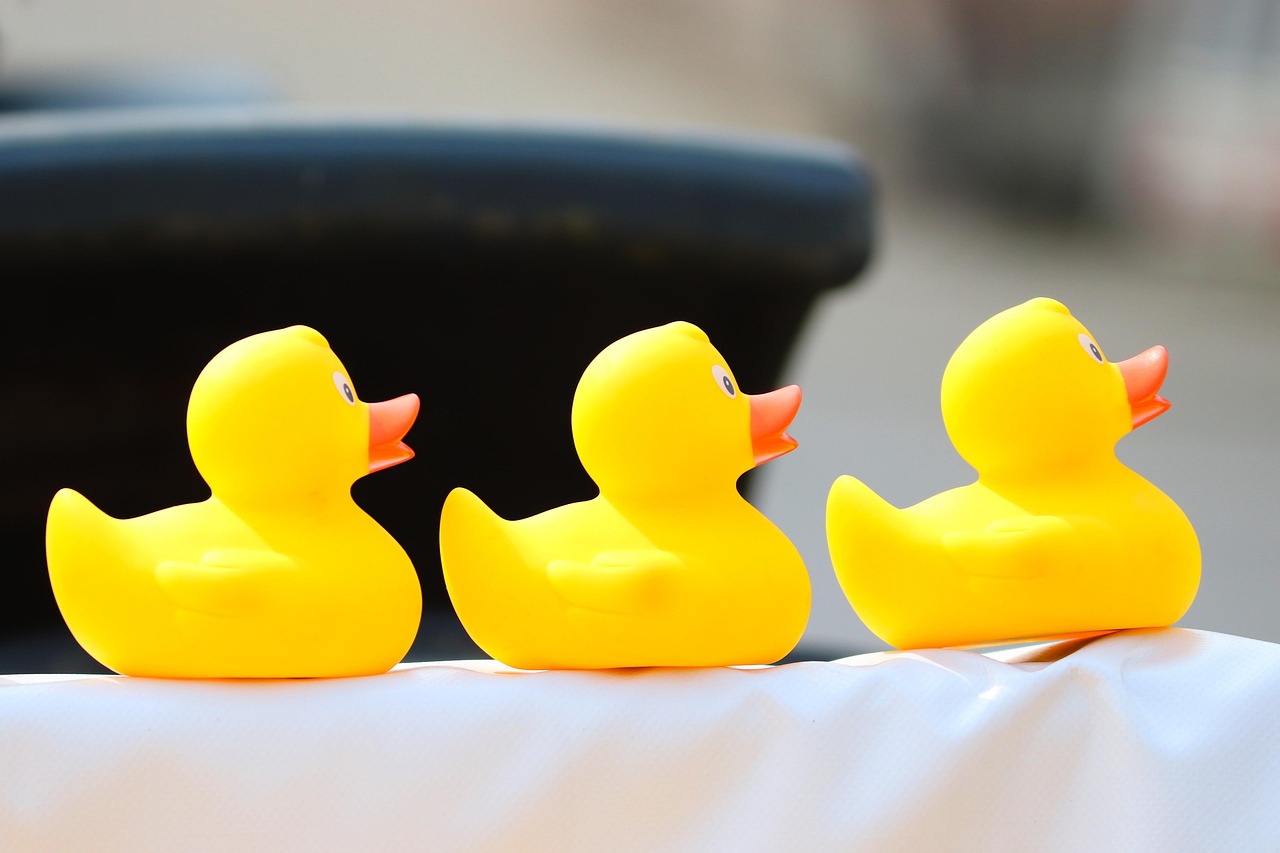 cat traieste o rata domestica