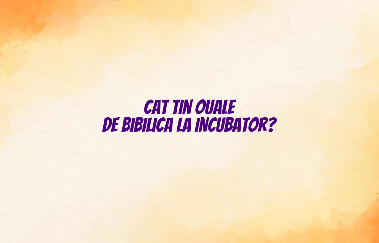 cat tin ouale de bibilica la incubator