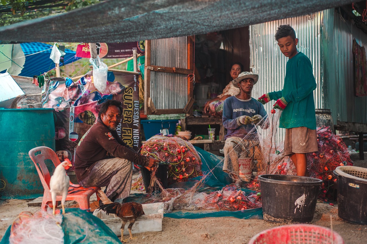 ce se pune in apa puilor de gaina