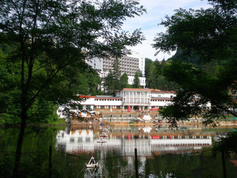 4427138443 173db10a93 o