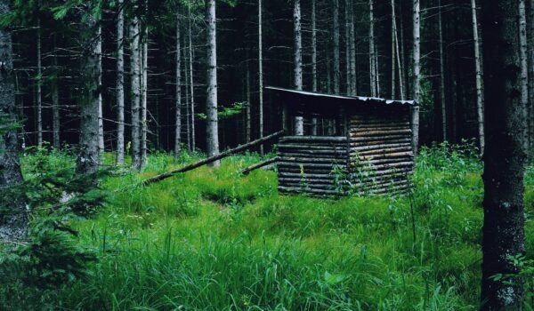 modele de bai cu cabina de dus zidita