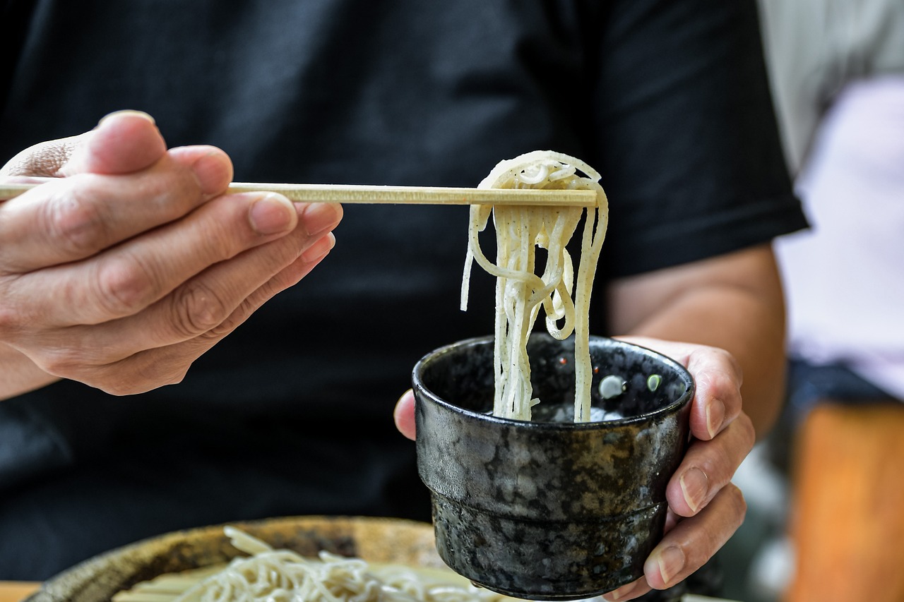 modele de soba cu plita