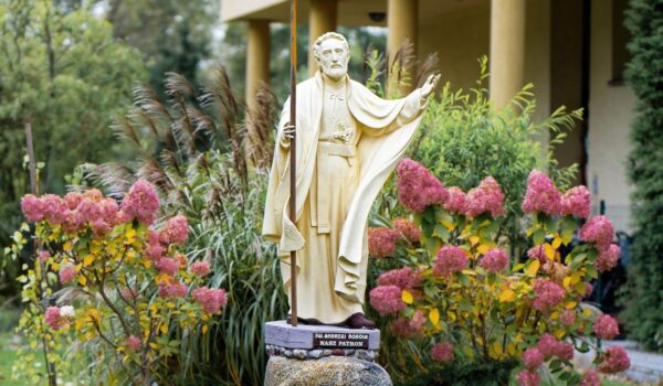 plante perene de gradina care infloresc tot anul