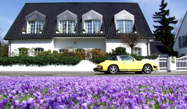 plante perene pentru jardiniere