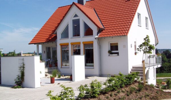 plante perene de apartament