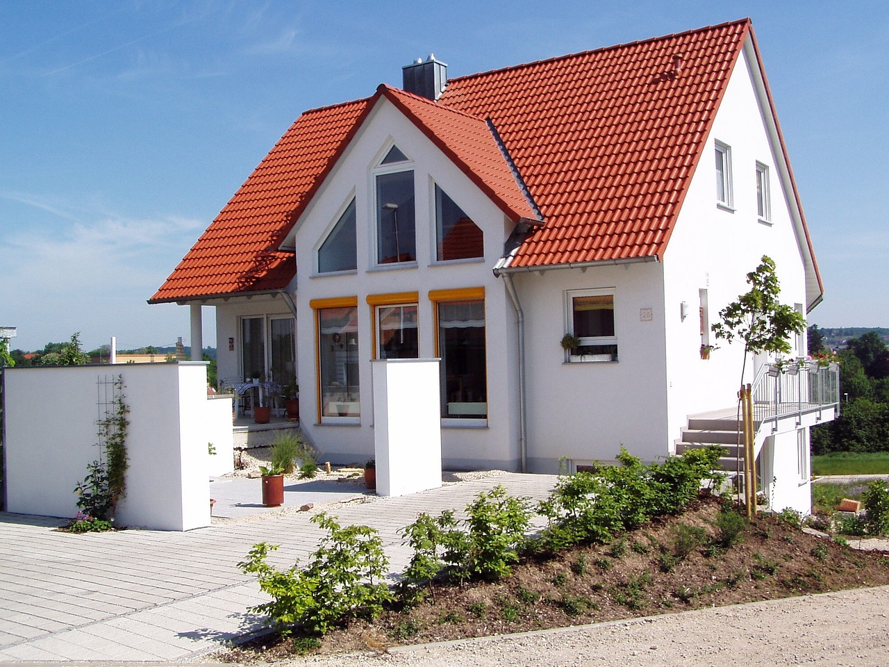 plante perene de apartament