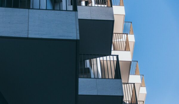plante pentru balcon