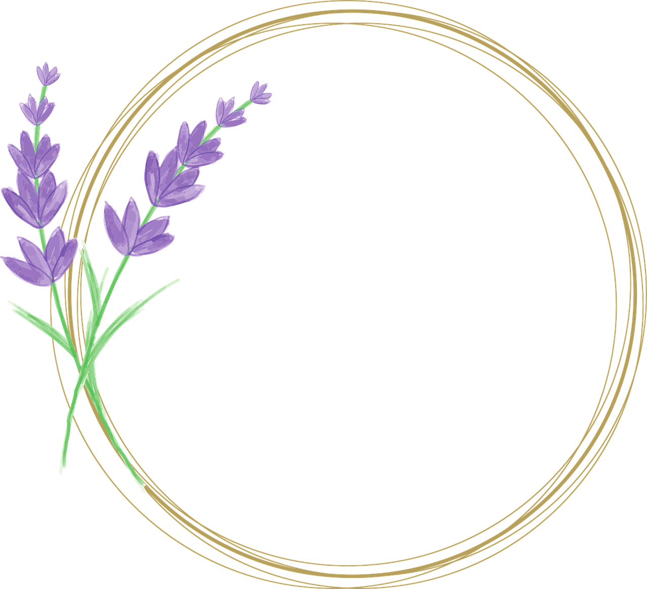 cum se obtin butasii de lavanda