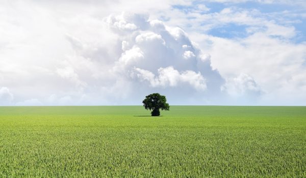ce inseamna urban si rural