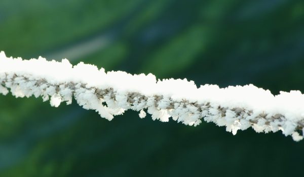 la ce temperatura se sterilizeaza borcanele