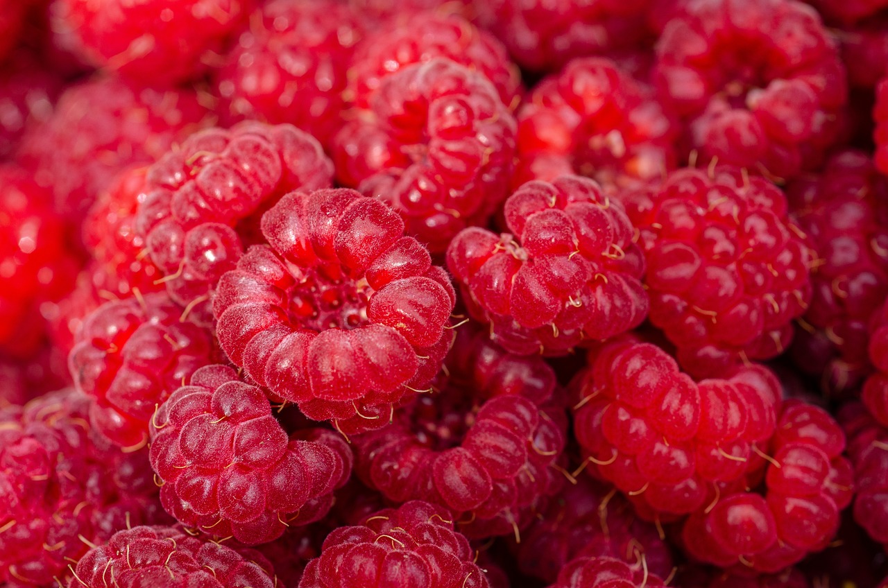 cum se curata pomii fructiferi