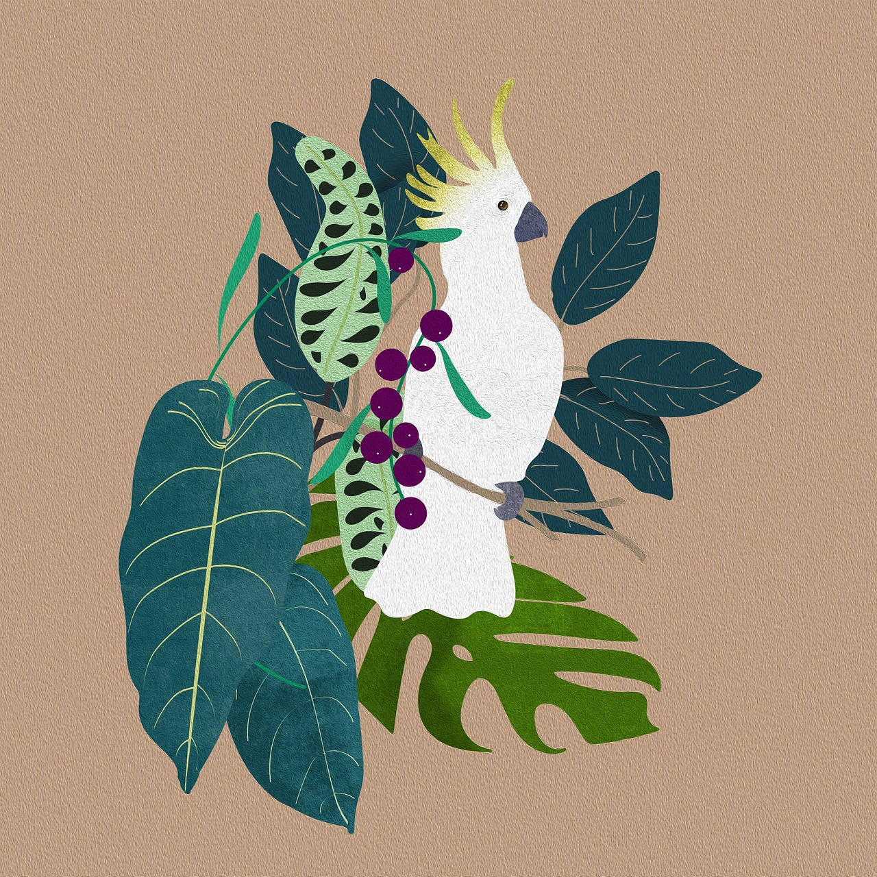 monstera monkey