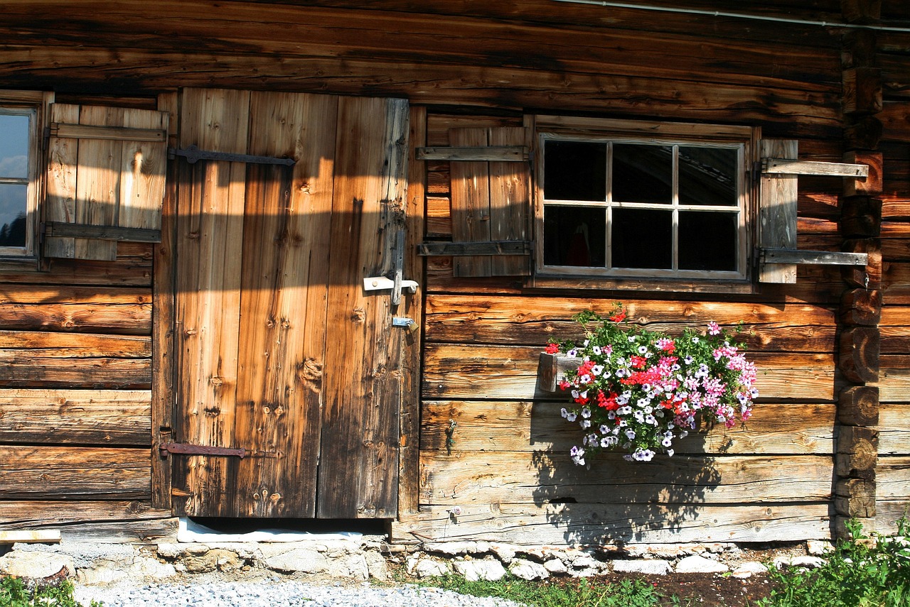 osmocote pentru muscate