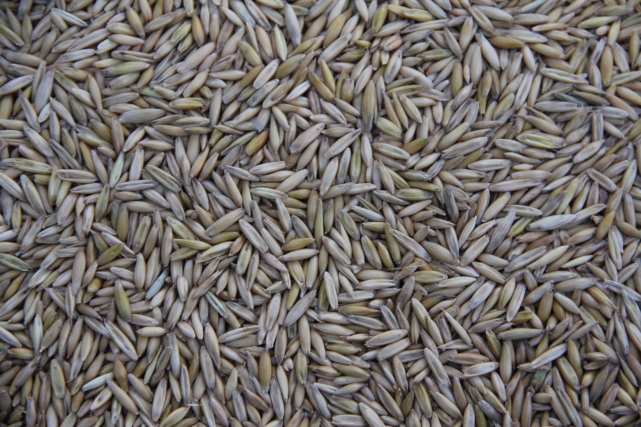 ce inseamna inputuri agricole