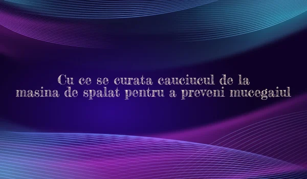 cu ce se curata cauciucul de la masina de spalat