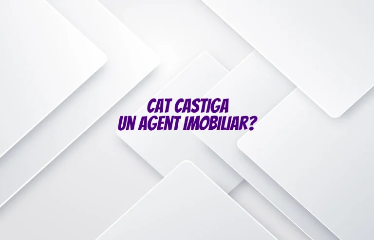 cat castiga un agent imobiliar