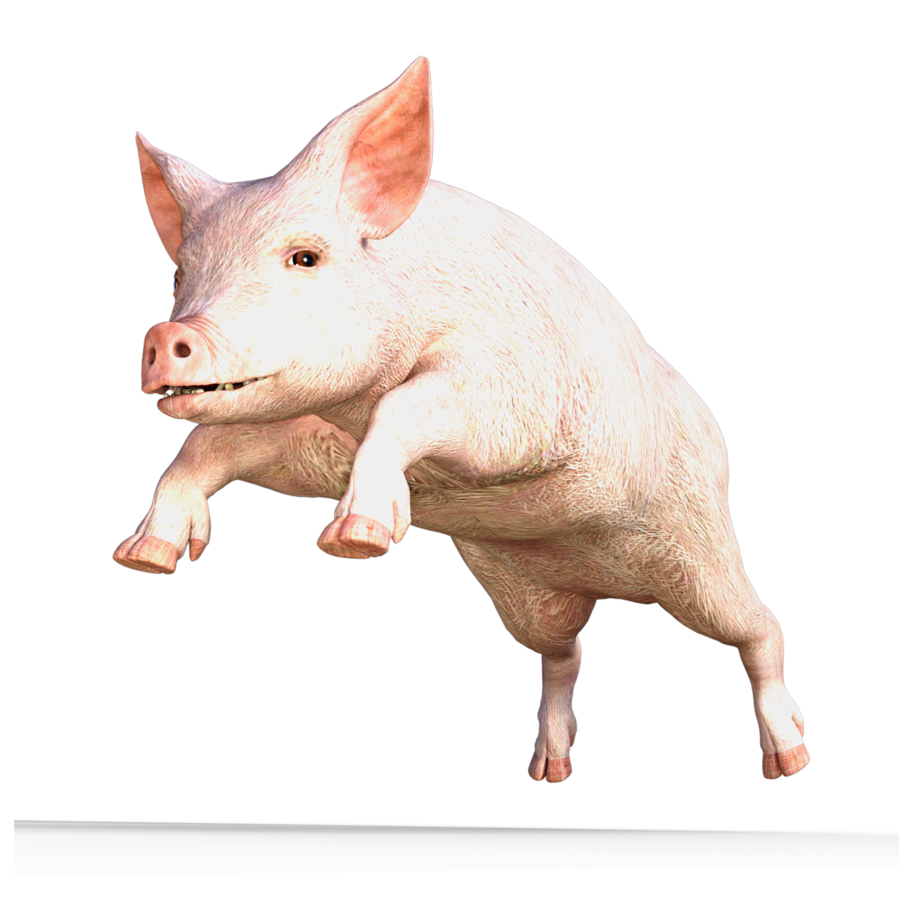 ce este tomahawk de porc