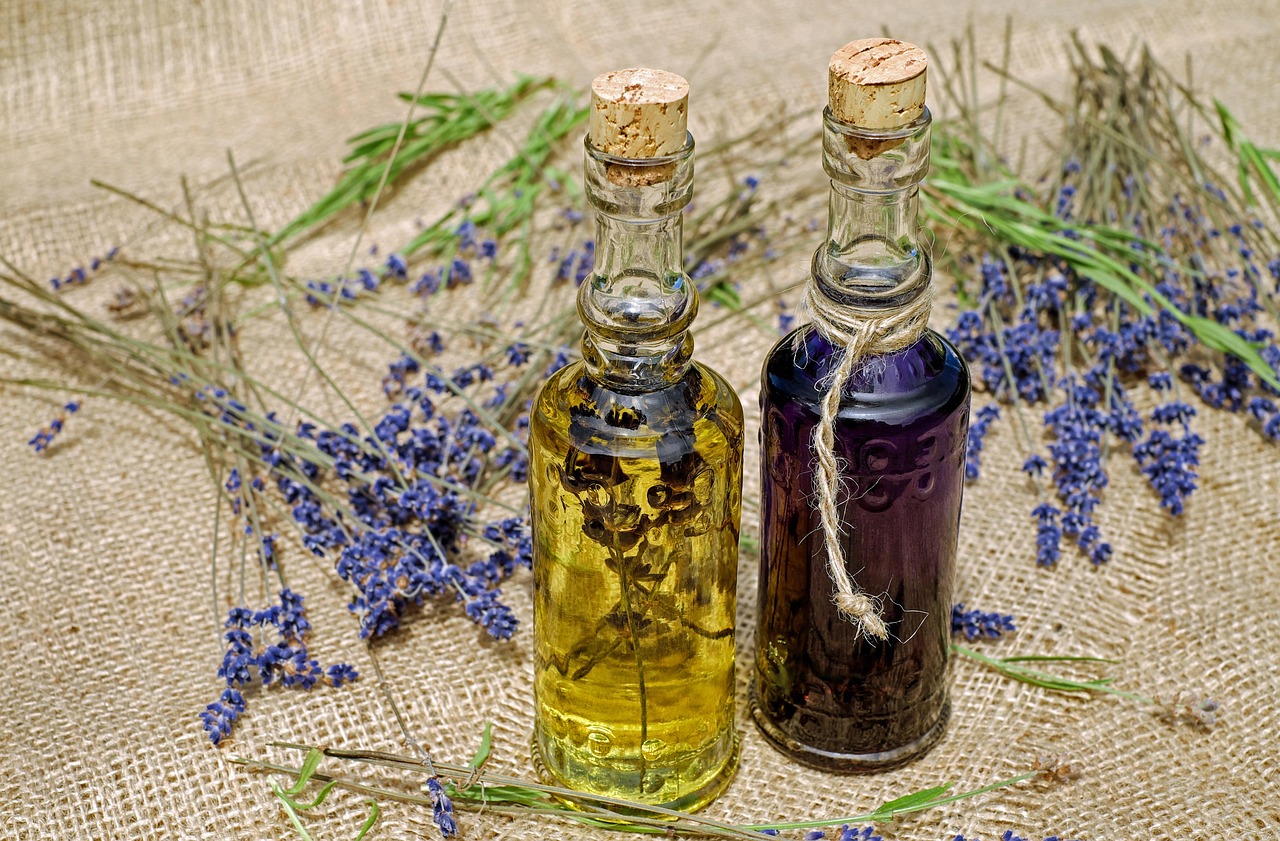 cum se inmulteste lavanda