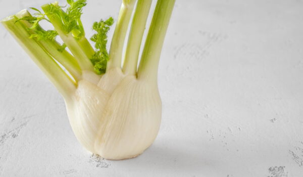 fresh fennel bulb