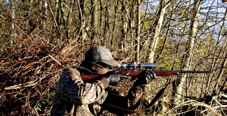 Pe intelesul tuturor: cum compari variantele de arme lungi pentru vanat