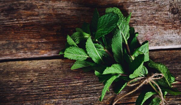 mint table