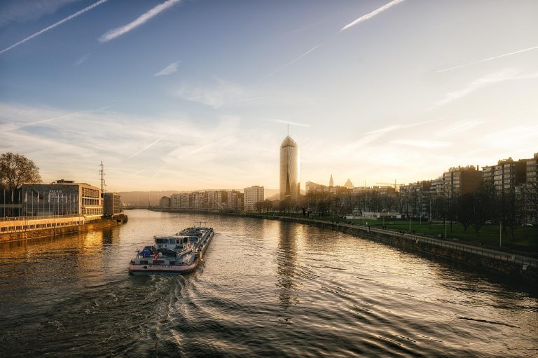 productie vinete la hectar