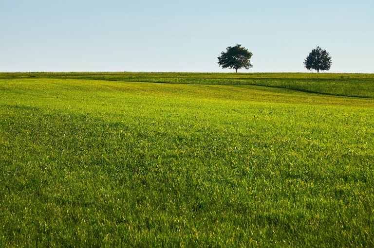 fonduri europene agricultura