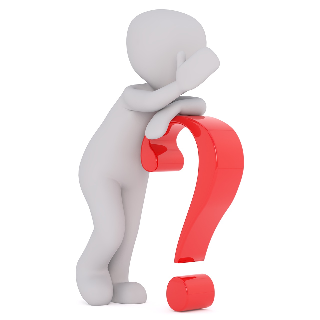 cultura de capsuni in solar