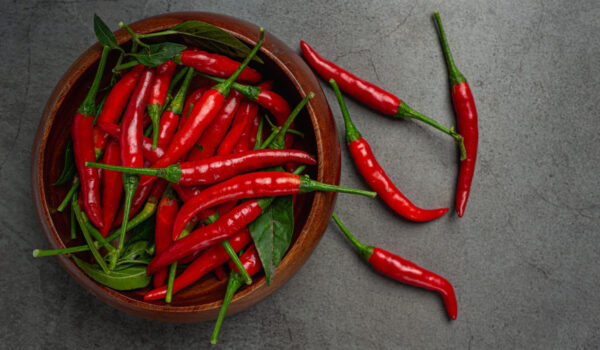 red chilli paste black