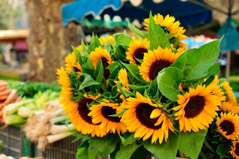 village market with sunflowers